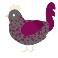 Fading Away, a grey and wine chicken with a speckle pattern