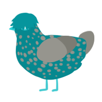 A teal and ash chicken with a speckle pattern