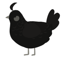 skyline watcher, a black and sable chicken with a half-lace pattern