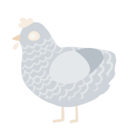A mist chicken with a lace pattern