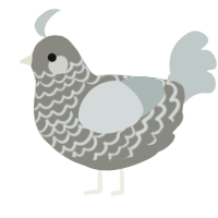 A ash and silver chicken with a lace pattern
