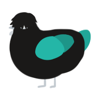 A sable and turquoise chicken