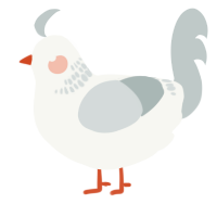A white and silver chicken with a neck-band pattern