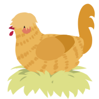A honey and orange chicken with a bar pattern