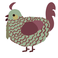 A orange and lime chicken with a lace pattern