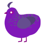 Plumdumb, a violet and overcast chicken with a half-lace pattern