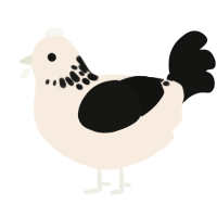 A cream and black chicken with a neck-speckle pattern