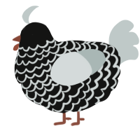 A black and silver chicken with a lace pattern