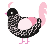 A sable and rose chicken with a lace pattern