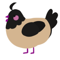 A beige and sable chicken with a head pattern