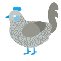 A silver and ash chicken with a double-lace pattern