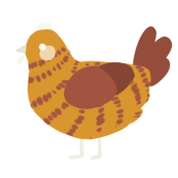 A orange and russet chicken with a bar pattern
