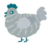A silver and mist chicken with a bar pattern