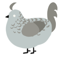 A silver and ash chicken with a half-lace pattern