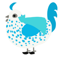 Raindrop, a white and cerulean chicken with a speckle pattern