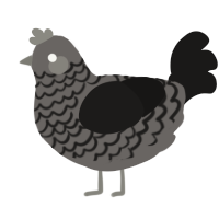 A grey and sable chicken with a lace pattern