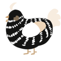 A black and cream chicken with a bar pattern