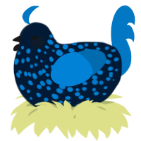 A tumblr and sapphire chicken with a speckle pattern