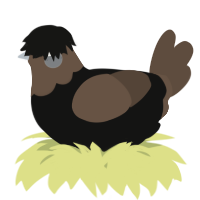 A black and bark chicken with a head pattern