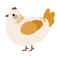 A cream and orange chicken with a neck-band pattern