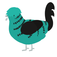 A turquoise and sable chicken with a half-bar pattern