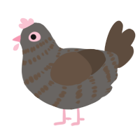 A grey and bark chicken with a bar pattern