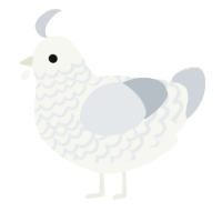 A white and mist chicken with a lace pattern