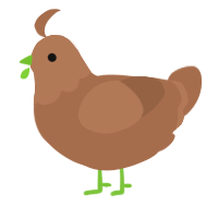 greater false turd, a brown chicken with a head pattern