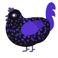 A black and indigo chicken with a speckle pattern