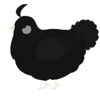 A black and sable chicken with a neck-band pattern