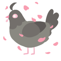 A ash and grey chicken with a head pattern