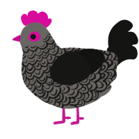 A grey and black chicken with a double-lace pattern