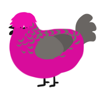 A fuchsia and grey chicken with a half-lace pattern