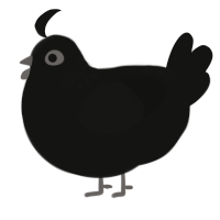 A black chicken with a neck-speckle pattern