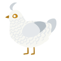 A white and mist chicken with a lace pattern