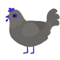 Grayson, a grey chicken with a bar pattern