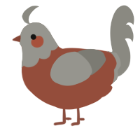 A russet and ash chicken with a head pattern
