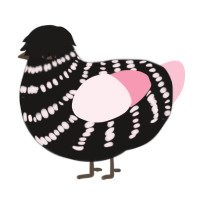 A sable and rose chicken with a bar pattern