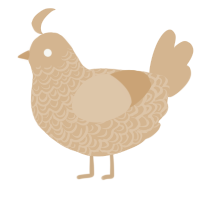A beige chicken with a double-lace pattern