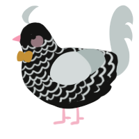 A black and silver chicken with a lace pattern