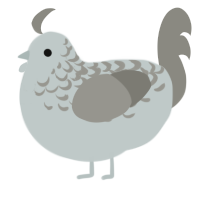 A silver and ash chicken with a half-lace pattern