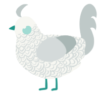 A white and silver chicken with a double-lace pattern