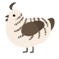 A cream and bark chicken with a half-bar pattern