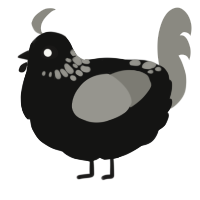 A black and ash chicken with a neck-speckle pattern