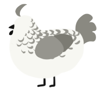 A white and ash chicken with a half-lace pattern
