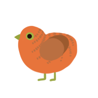 A vermilion and russet chicken with a half-bar pattern