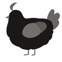 A sable and grey chicken