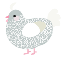 A silver and white chicken with a double-lace pattern