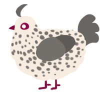 A cream and grey chicken with a speckle pattern