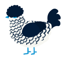 A white and tumblr chicken with a lace pattern